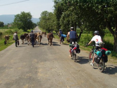 Cyklotrek Ukrajina 2008 C1